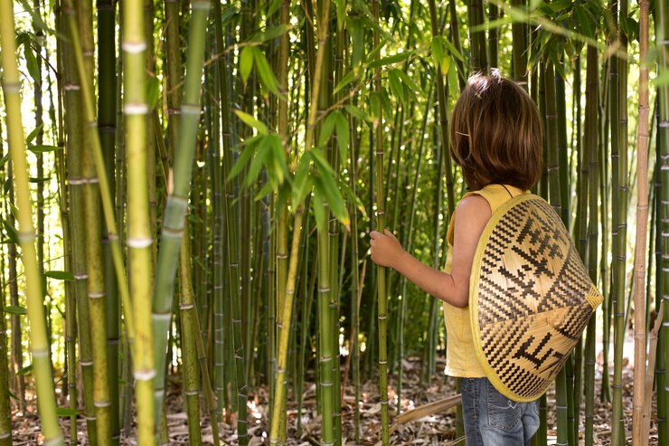 Organic & More: Leading the Way in Ethical Bamboo Clothing Manufacturing